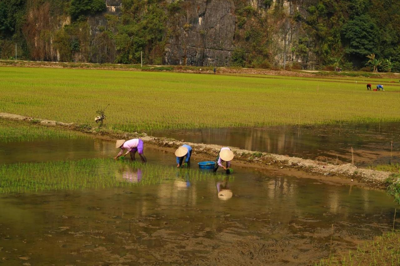 Tuan Nam Homestay Ninh Binh Eksteriør billede