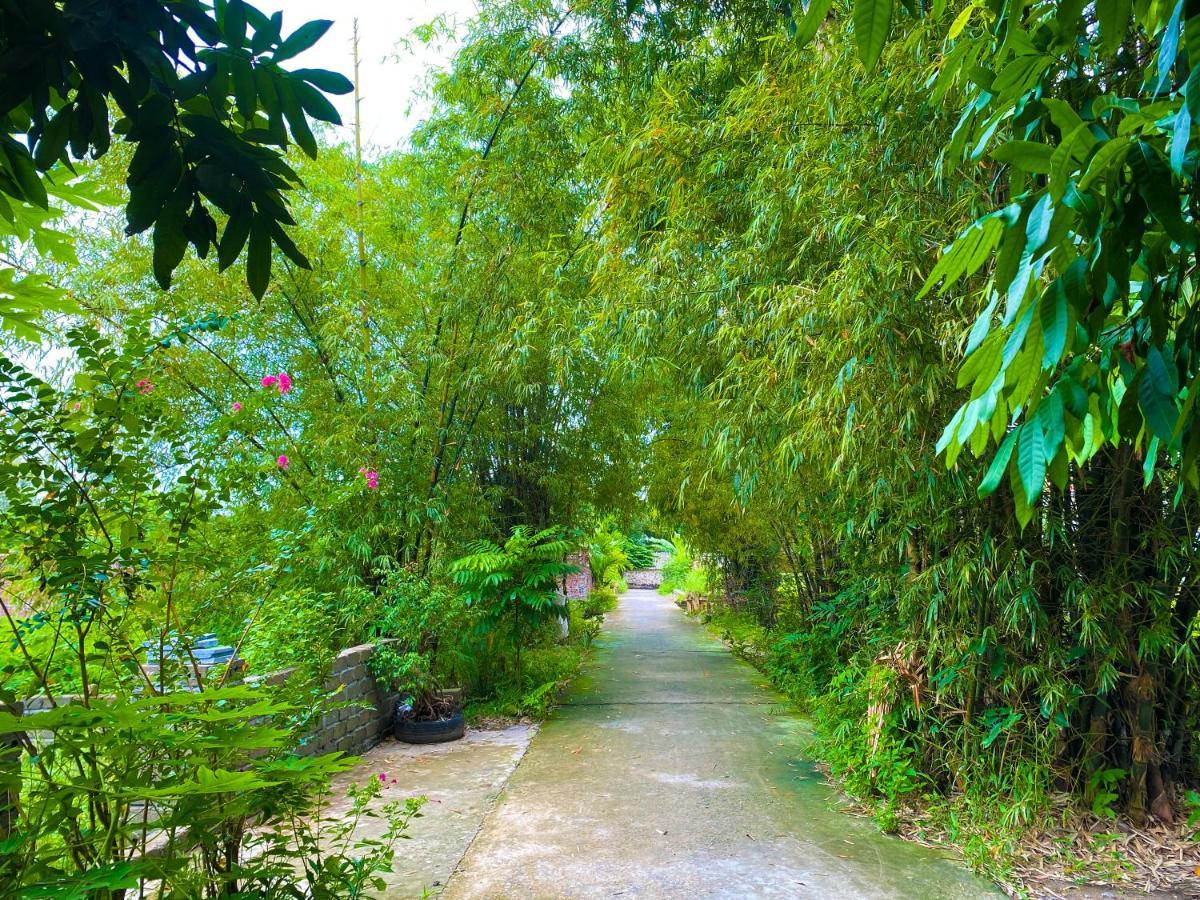 Tuan Nam Homestay Ninh Binh Eksteriør billede