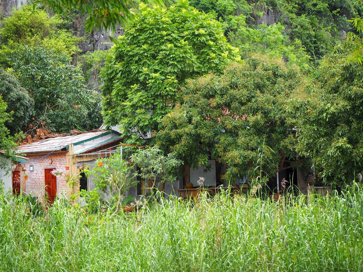 Tuan Nam Homestay Ninh Binh Eksteriør billede